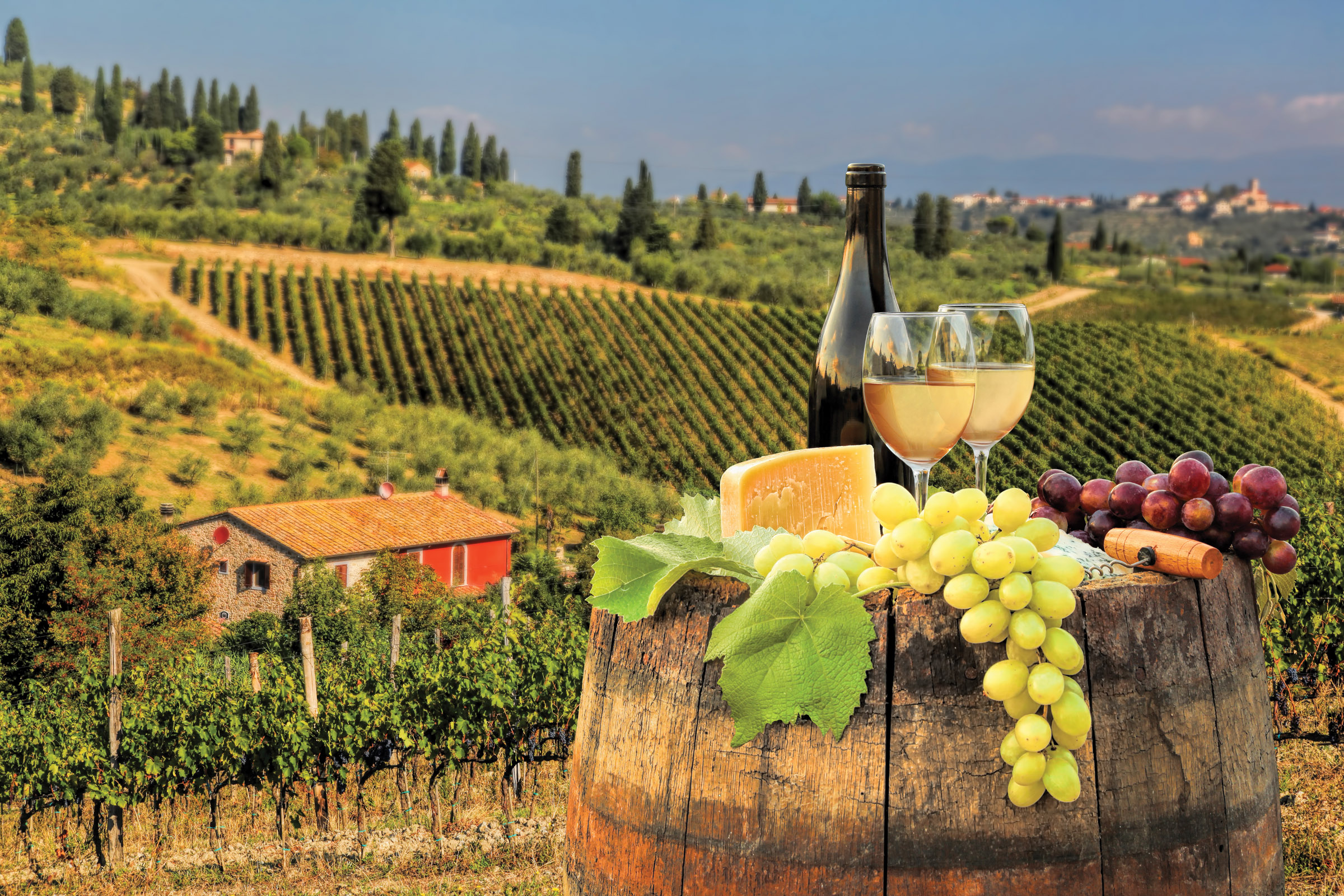 Village вино. Долина Кьянти в Тоскане. Тоскана Италия винодельни. Италия Тоскана винодельня Банфи. Италия виноградники Тосканы.