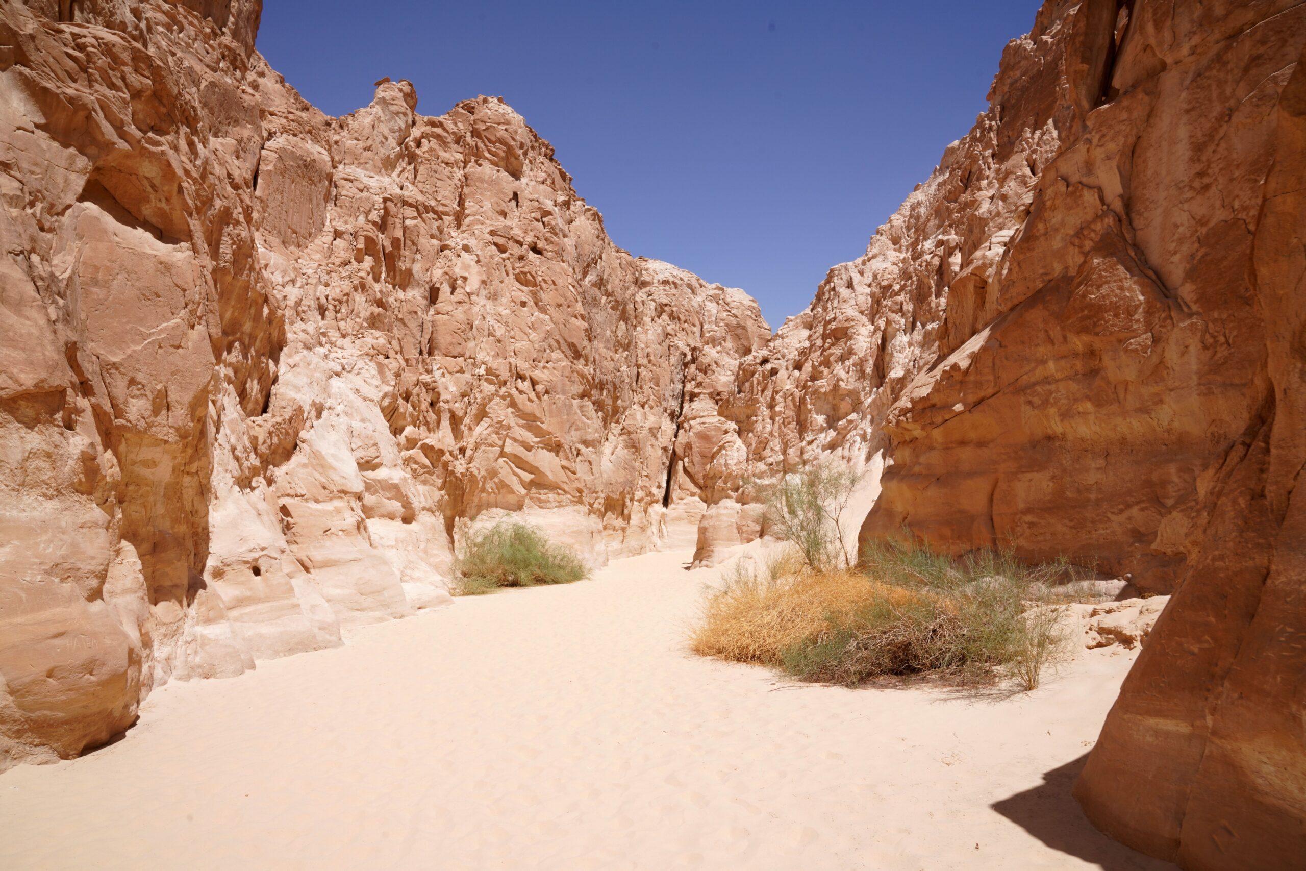 Formations de grès sculptées par le vent dans le désert occidental égyptien