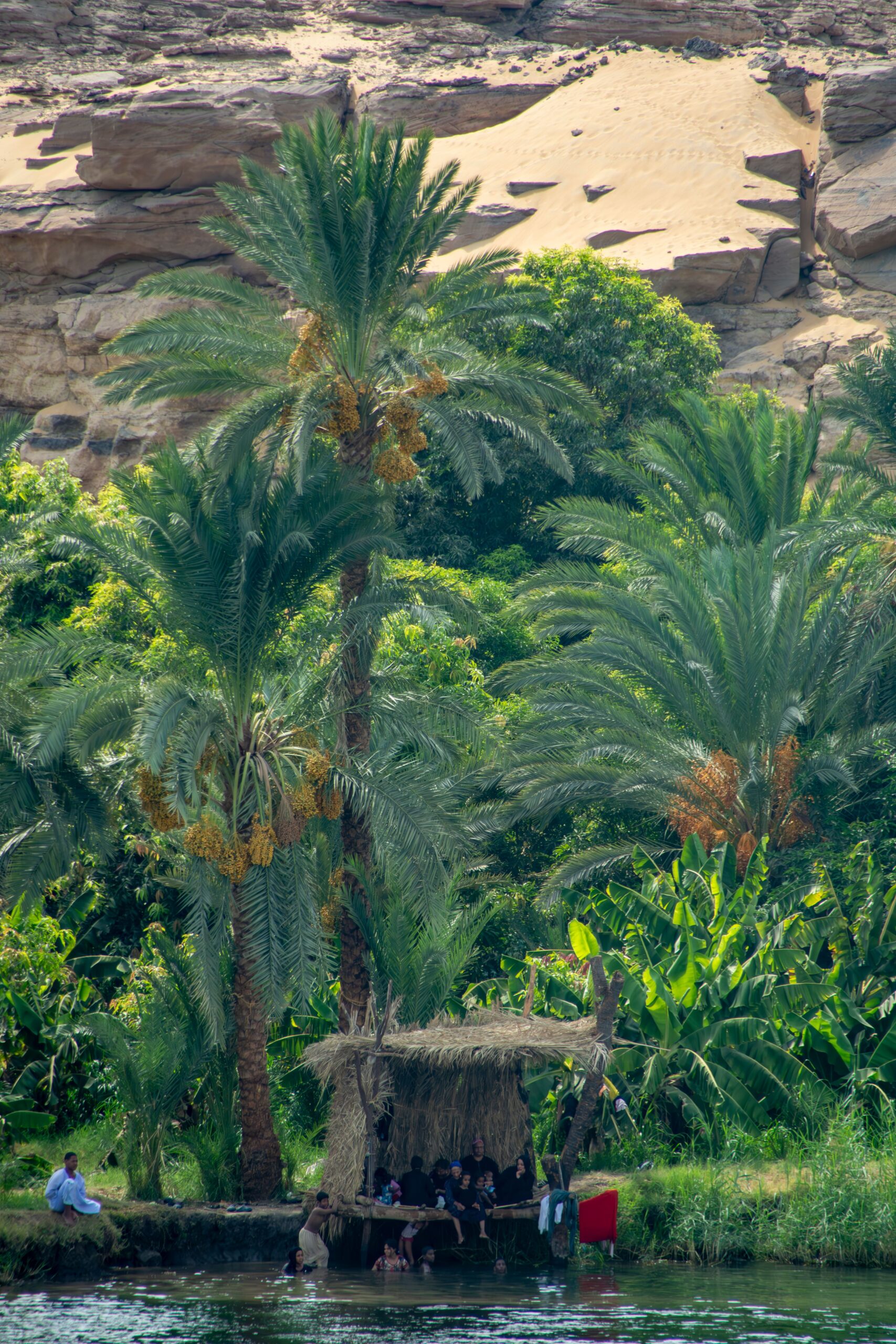 Palmeraie et rives verdoyantes du Nil au départ d'Assouan
