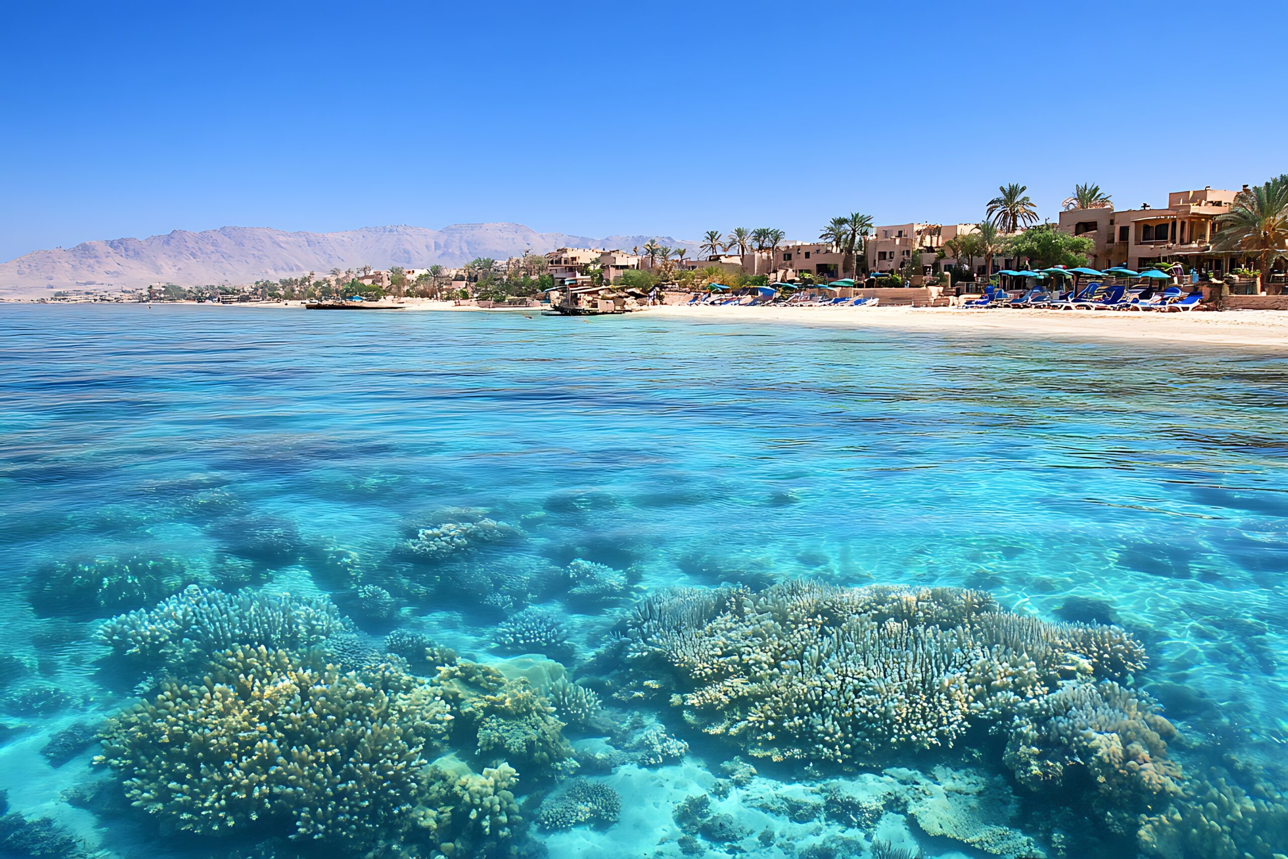 Récif de corail dans les eaux transparentes de la mer Rouge à Hurghada